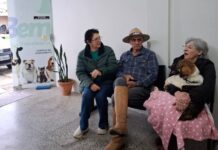 Meleiro realiza 150 castrações de cães e gatos pelo programa Pet Levado a Sério