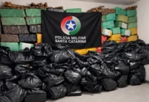 Homem é preso e mais de quatro toneladas de maconha são apreendidas na Grande Florianópolis