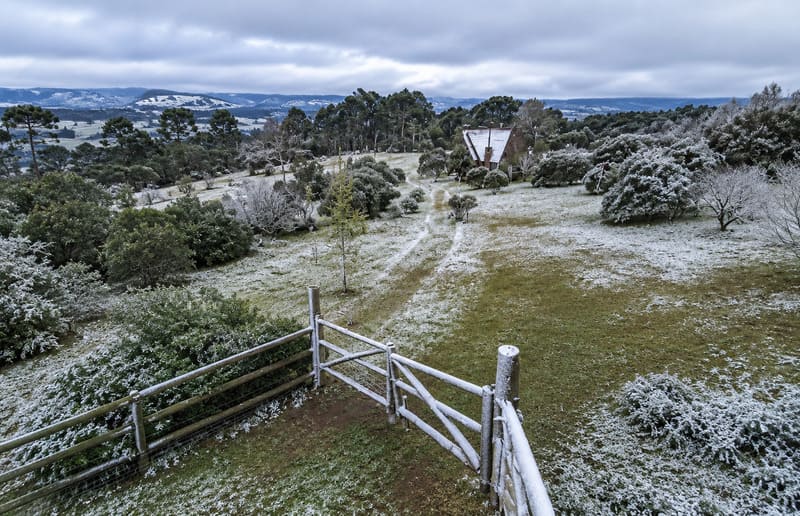 Neve
