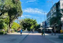 Sábado Mais amplia horário do comércio e reúne ações de conscientização em Criciúma