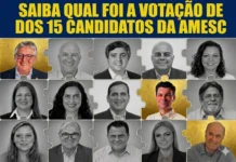 Rolando Christian Coelho | O desempenho dos candidatos da Amesc nas urnas