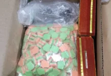 Mulher é presa em Florianópolis suspeita de enviar drogas por encomendas para todo o país