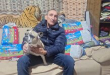 Coletores de lixo salvam buldogue paraplégico furtado e abandonado em Balneário Gaivota
