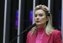 Santa Catarina elege 16 deputados federais; Julia Zanatta lidera votação com mais de 560 mil votos